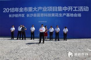 长沙市经济和信息化委员会经济信息咨询服务解读