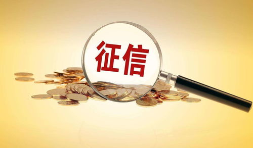 个人信用查询指南及经济信息咨询服务详解